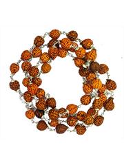 3 Mukhi (Three Face) Rudraksha Mala