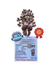 Rudra Mala Package