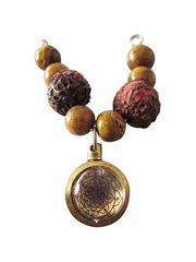 Kalsarpa Shanti Package (Takshak Special Package) 