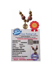 Kalsarpa Shanti Package (Takshak Special Package) 