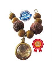 Kalsarpa Shanti Package (Takshak Special Package) 
