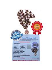 Shani Dhaiya & Sadhesati Removal Package-2