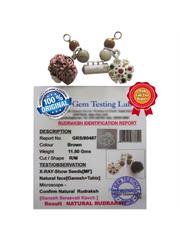 Shri Ganesh Saraswati Package