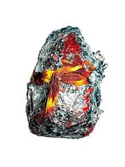 Ekakshi Nariyal (One eye coconut)