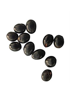 Black (Kali) Gunja (11 pcs)
