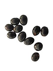 Black (Kali) Gunja (11 pcs)