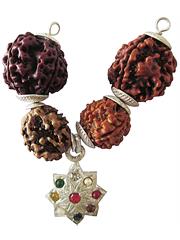 Career Rudraksha Pendant