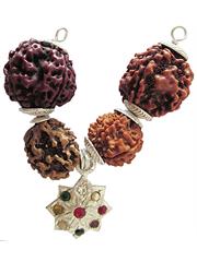 Career Rudraksha Pendant