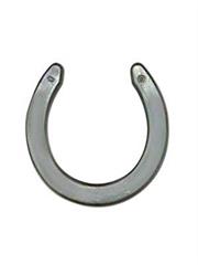 Black Horse Shoe (Remedies For Saturn)