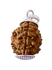 3 Mukhi Rudraksha