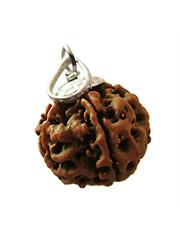 5 Mukhi Rudraksha
