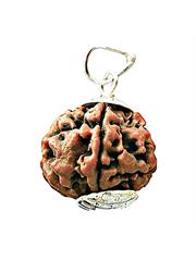 5 Mukhi Rudraksha