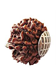 9 Mukhi Rudraksha (Nepali)