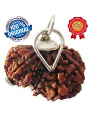 Garbh Gauri Rudraksha