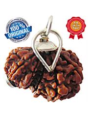 Garbh Gauri Rudraksha