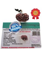Gauri Shankar Rudraksha (Nepali)