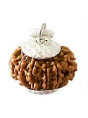 10 Mukhi Rudraksha (Nepali)