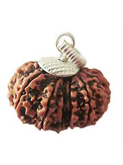13 Mukhi Rudraksha (Nepali)