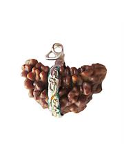 2 Mukhi Rudraksha Bead (Half Moon Shape)
