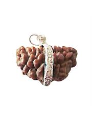 2 Mukhi Rudraksha Bead (Half Moon Shape)