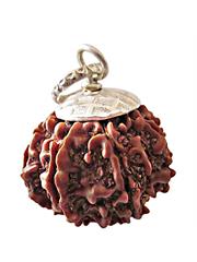 9 Mukhi Rudraksha (Indonesia)