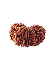 15 Mukhi Rudraksha (Indonesia)