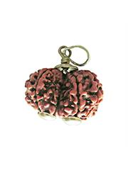 Gauri Shankar Rudraksha (Indonesia)