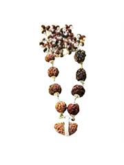 Navagrah Rudraksha Mala Package (1 to 9 Facet)