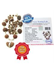Navagrah Rudraksha Mala Package (1 to 9 Facet)