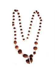 Sarv Siddha Rudraksha Mala Package